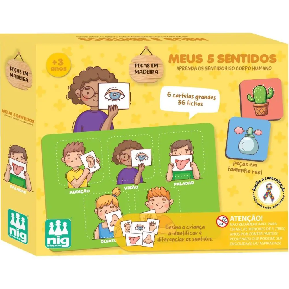 BRINQUEDO PEDAGOGICO MADEIRA MEUS 5 SENTIDOS — foto 1 de 2