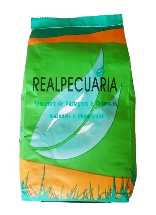 SEMENTE PENSACOLA